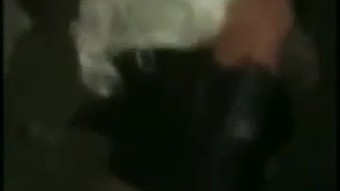 Hitam ebony pelacur interracial seks kompilasi - snapsluts.ga