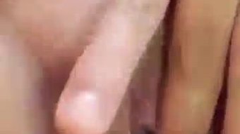 Stefani