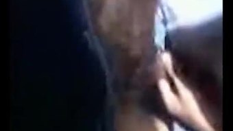 Sivakasi-greatestcam.ovh