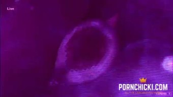 Club dragon original-lebih banyak lagi di pornchicki.com
