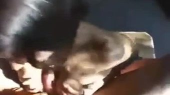 Si rambut coklat babe daripada www.slutz.kelab mendapat titty fucked dan teler