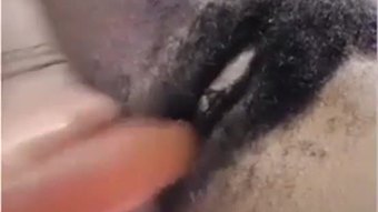 Horny ebony cam gadis