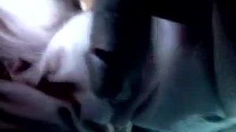 Orangutan makan malam cock jay licin haha