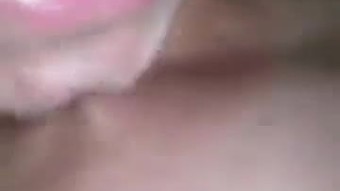 Leopard isteri dalam kilat Seluar dalam