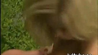 Linda kiss: # 17 kepala kulit