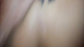 Maestra monterrey