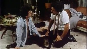 Wanda cambuk dinding jalan (1981)