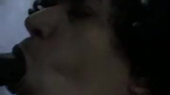 Sajidfun