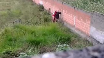 Buah dada gadis luar anjing terbentur