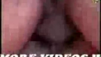 Bipasha basu penuh video seks