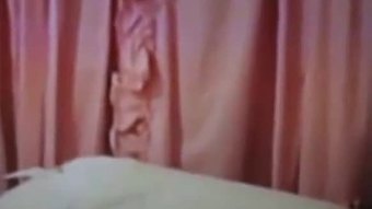 Isteri berbulu vagina