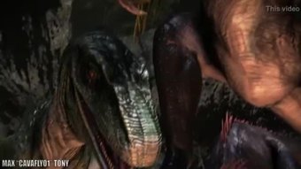 Ke sarang raptors