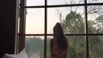 Kotor Latin jalur mainan pussy2