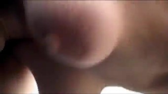 Berbulu gadis Itali dengan cermin mata (nama sila?)