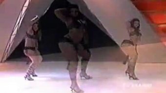 Tigresas da TV diaacuterio 2